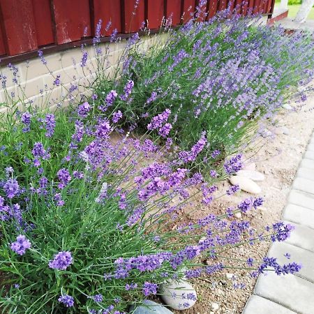 River Side Studio, 9Mi From Palanga, With Sauna Villa Kretinga Exterior photo